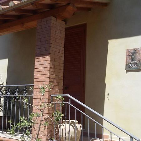 Le Camere Di Nonna Mara Montescudaio Exterior photo